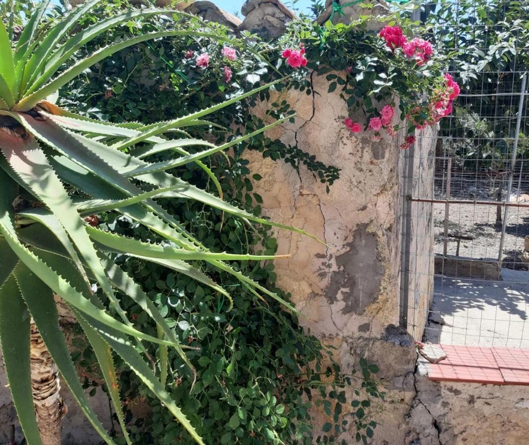 Appartement La Casa In Campagna à Chiesa Nuova  Extérieur photo