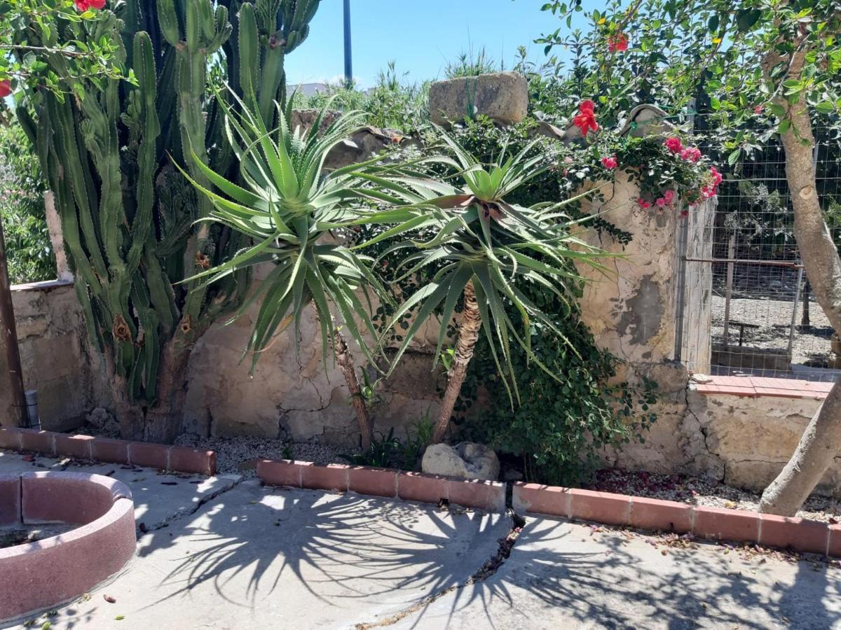 Appartement La Casa In Campagna à Chiesa Nuova  Extérieur photo